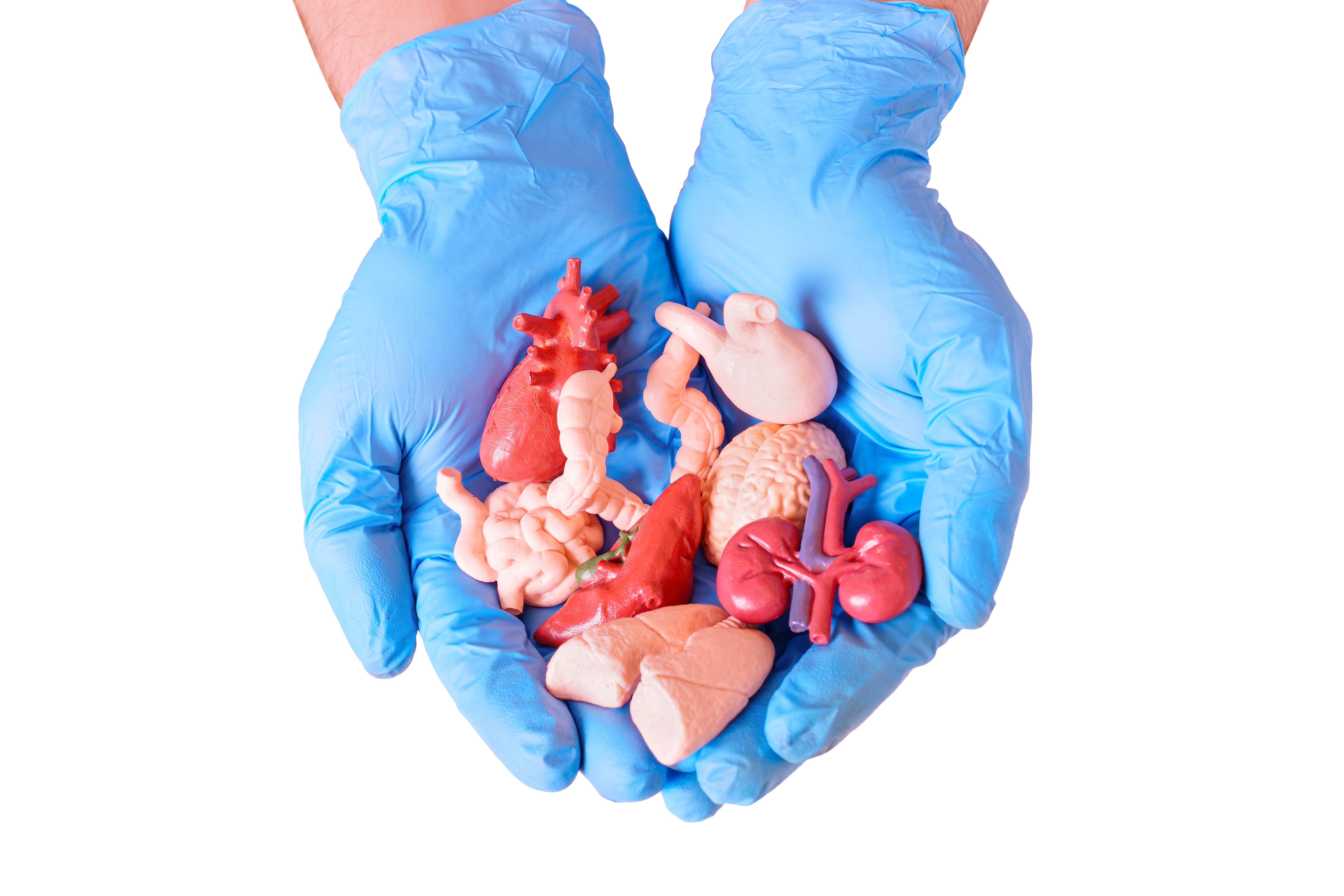 România ar putea implementa o nouă metodă de prelevare de organe
