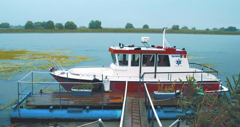 În căutarea Cenuşăresei