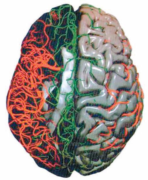 Managementul bolnavului înainte de intervenţiile cardio- şi neurovasculare