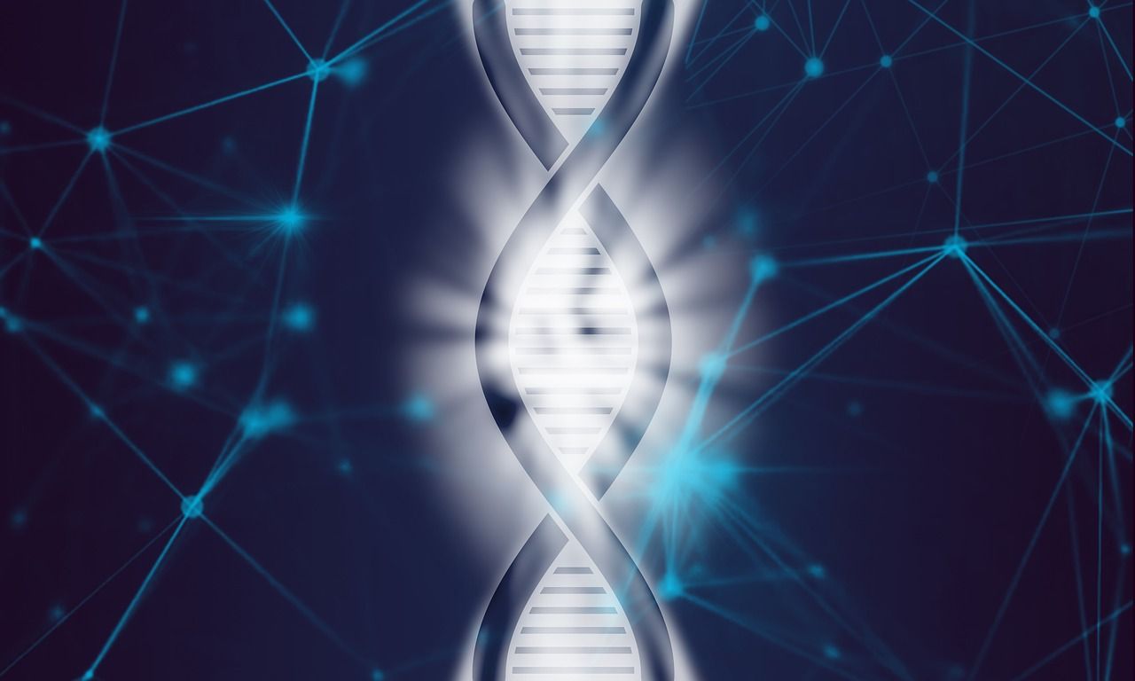 ADN genetica epigenetica