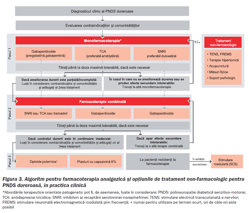 Consens experti ND Figura 3