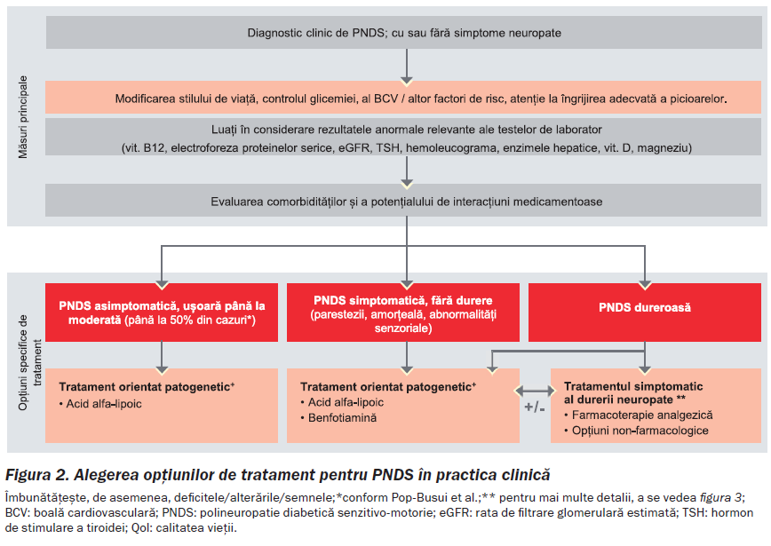 Consens experti ND Figura 2