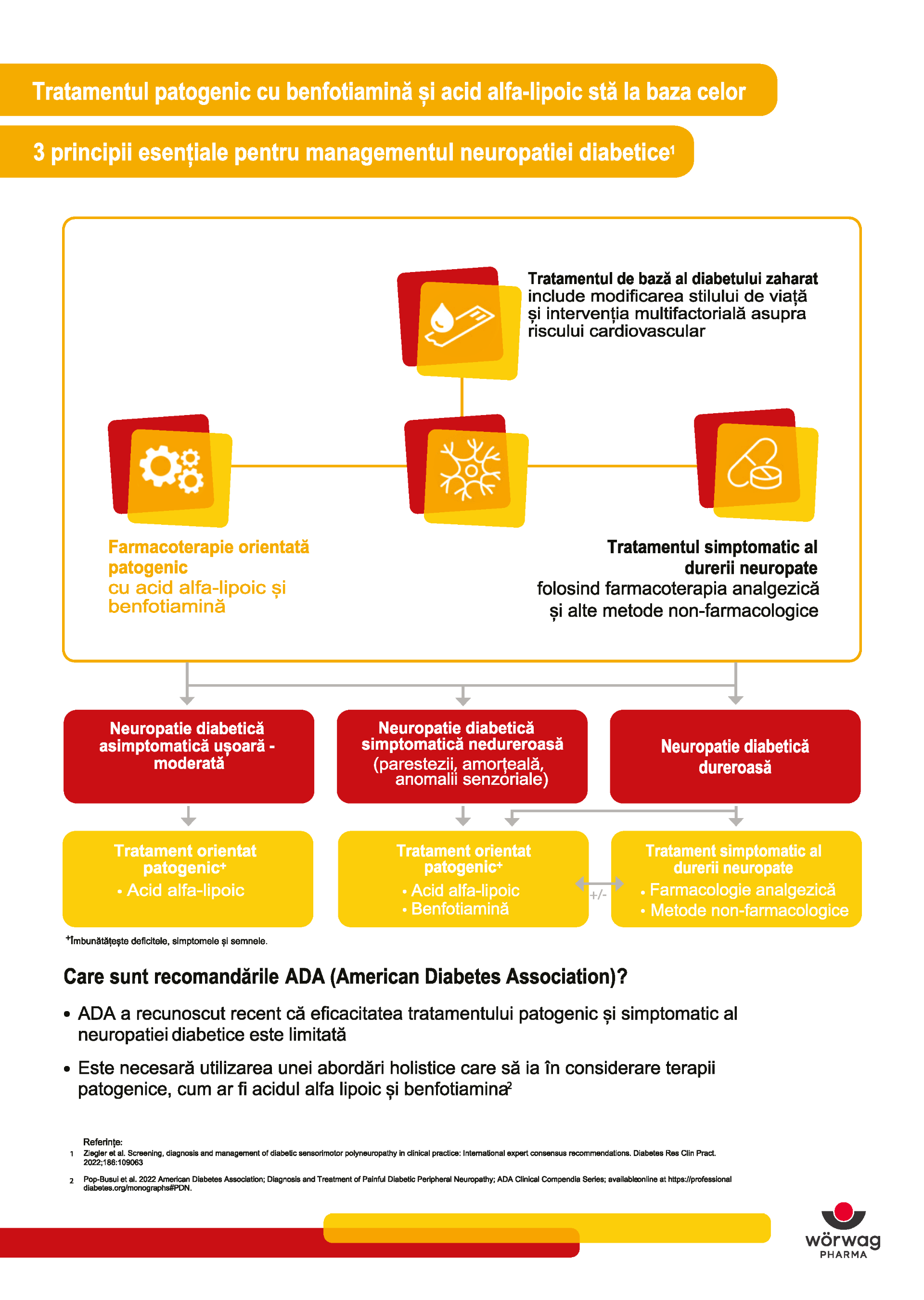 HCP Flyer_consens nou_Page_2