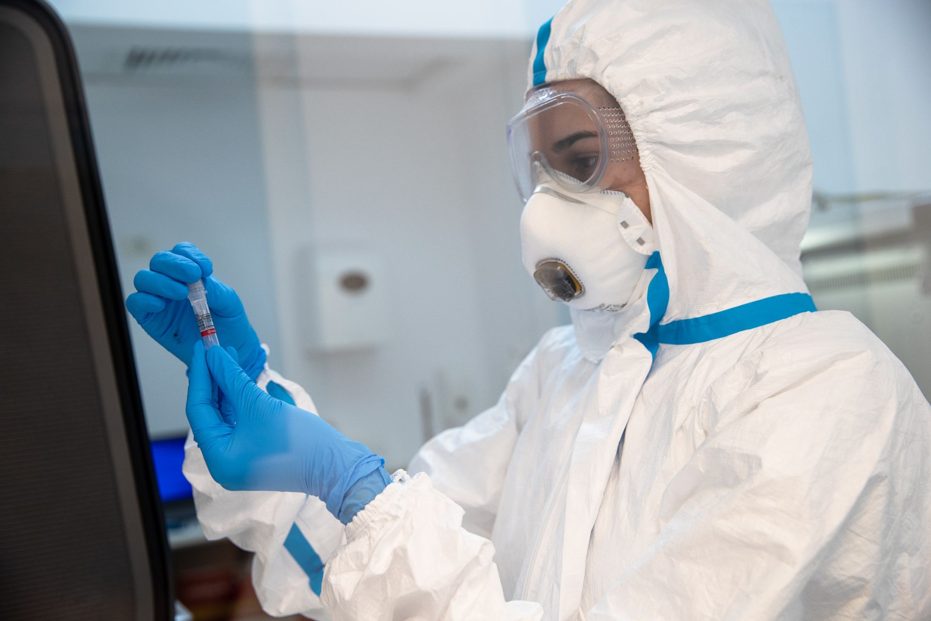 Ilustratie_REGINA MARIA