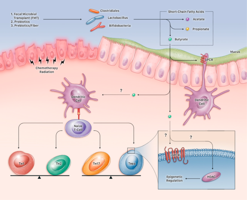 Microbiomul