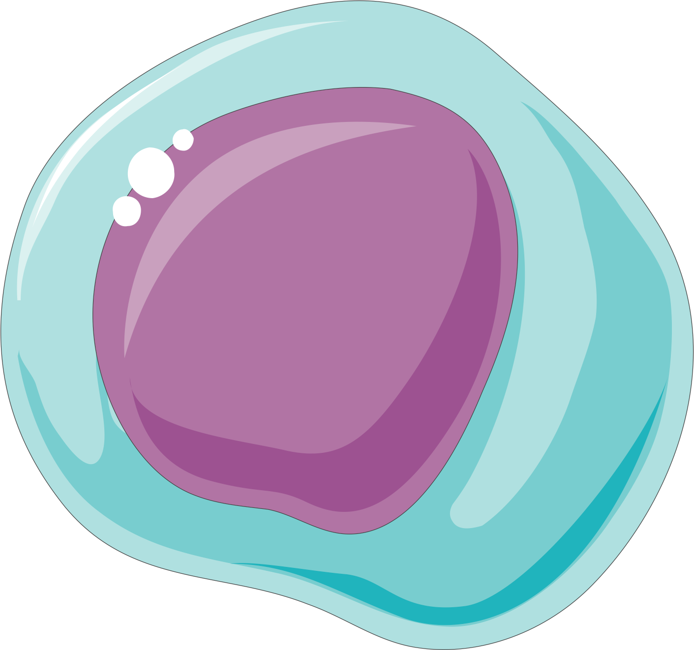 Stem_cells-wikimedia