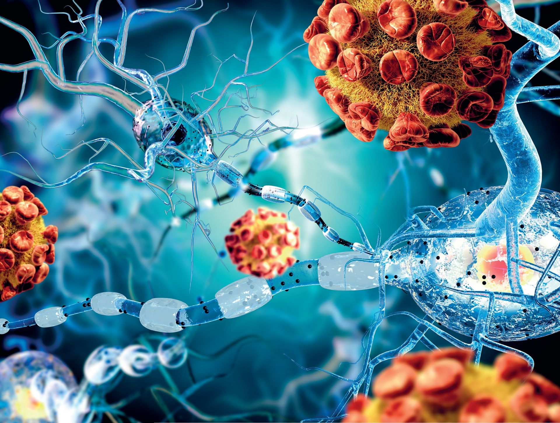 VM 17-18, p.10-11 -1