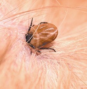 VM 17-18, p.14-15 - 1