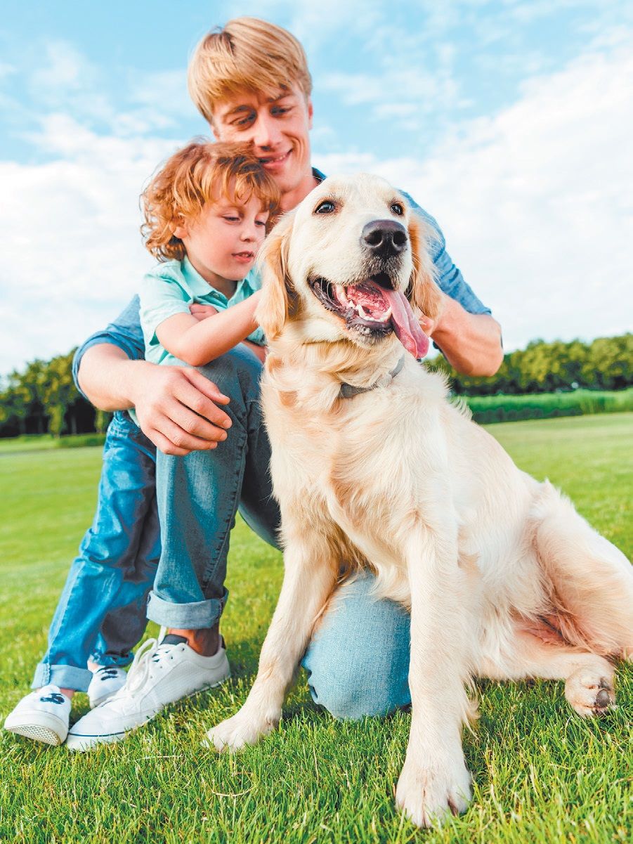 VM 17-18, p.14-15 - 4