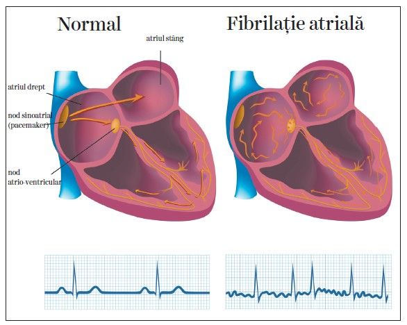 VM 12, p.6-7 -2