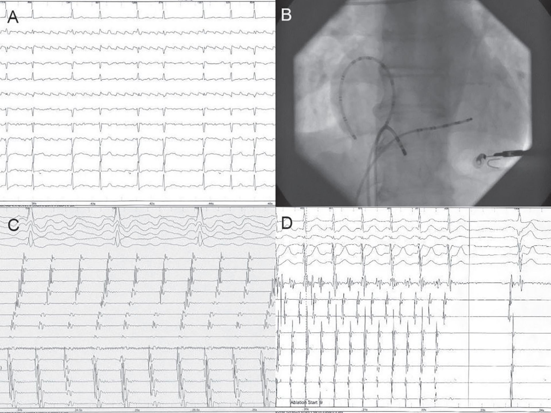 VM 12, p.6-7 -1