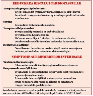 VM 49, p.5 -2