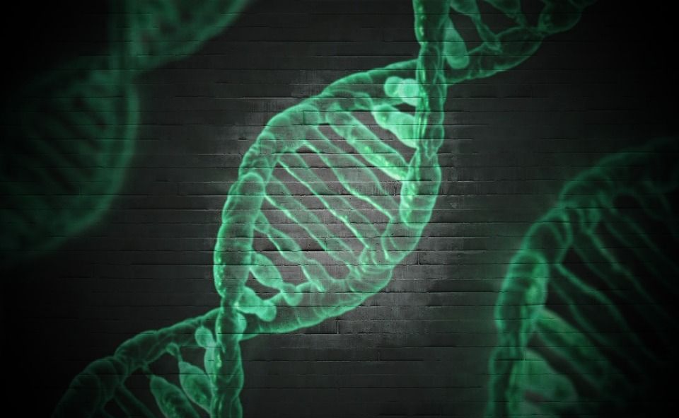 O mutație genetică rară protejează împotriva bolii Parkinson (studiu) 