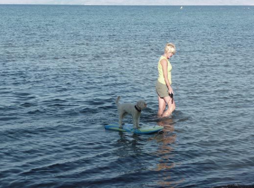 Întâlniri fără cuvinte