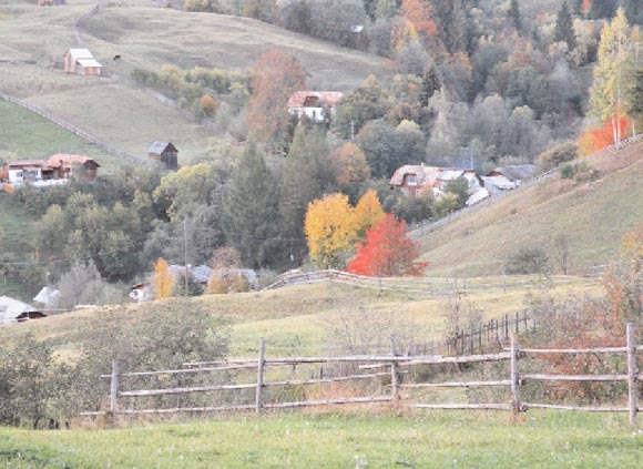 Leacul meu de suflet