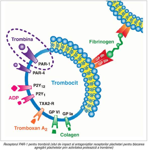 Actualizarea terapiei antitrombotice
