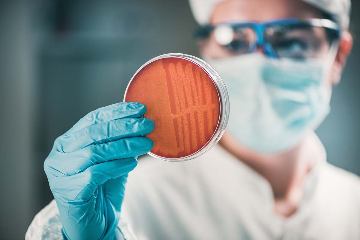 Identificarea rapidă  a rezistenţei  bacteriilor  la antibiotice  prin tehnologia  Multiplex PCR