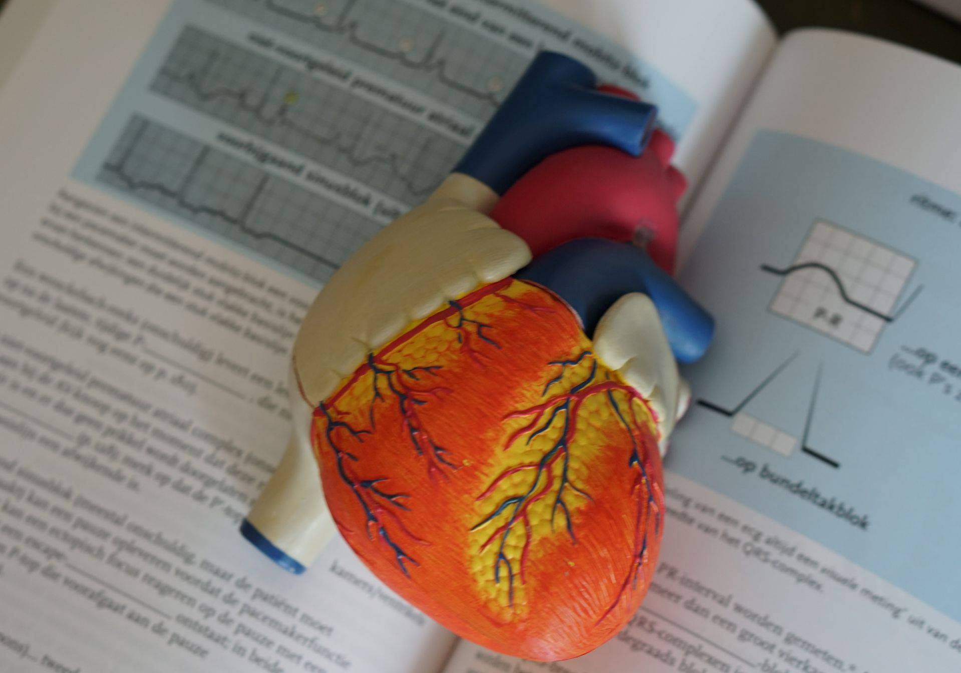 Opțiuni terapeutice novatoare pentru pacienții cu afecțiuni cardiovasculare