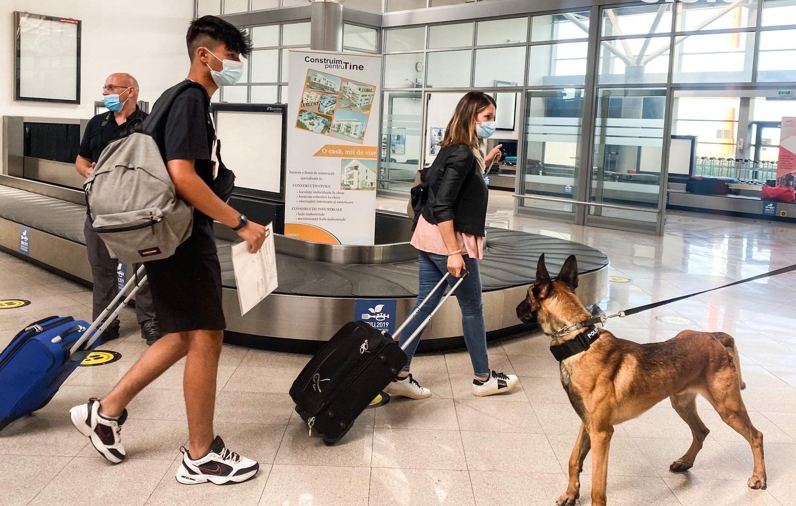 Câini care depistează pasagerii cu COVID, pe aeroportul din Sibiu
