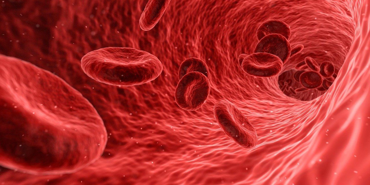 A crescut numărul donatorilor voluntari de celule stem hematopoietice