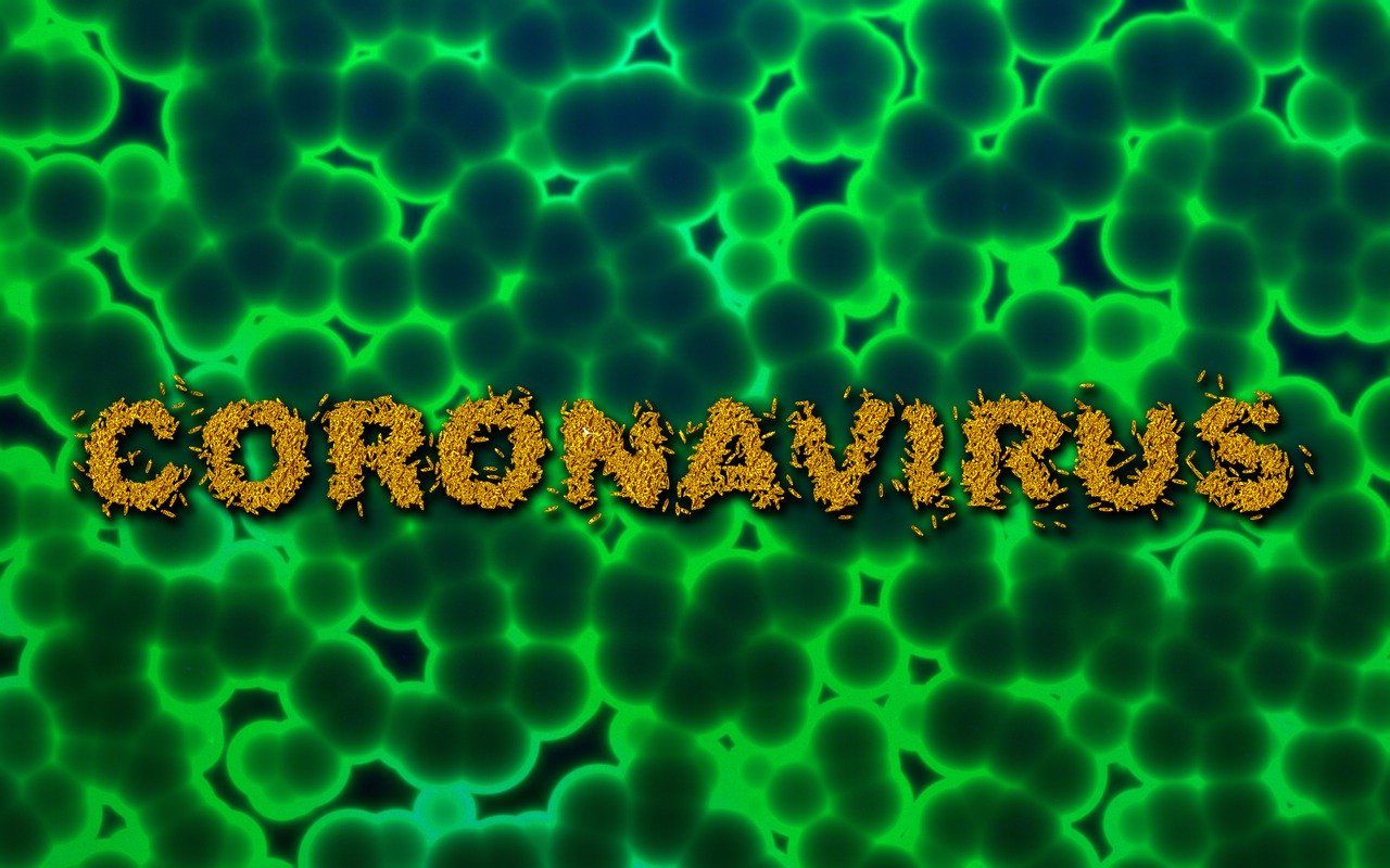 coronavirus 13