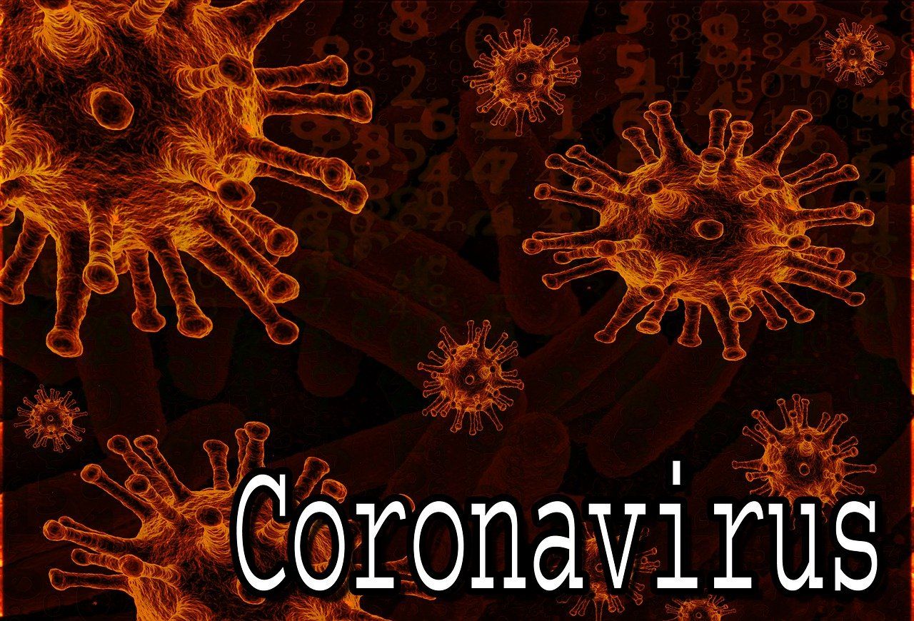 coronavirus 4 decembrie
