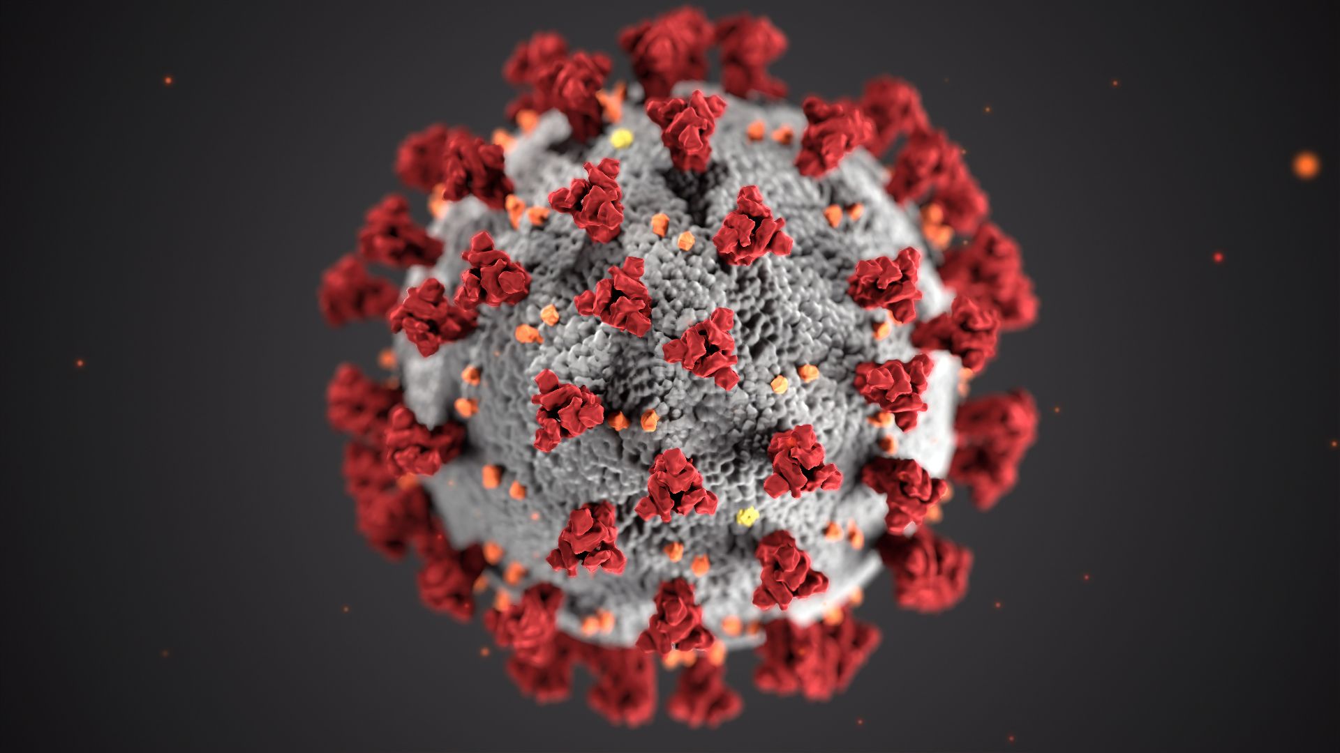 coronavirus 18 ianuarie