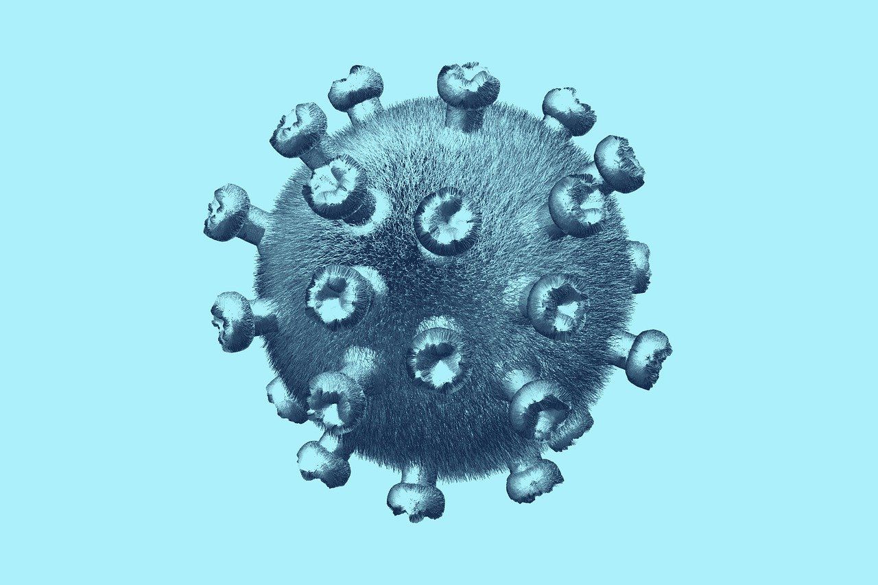 coronavirus 22 ianuarie