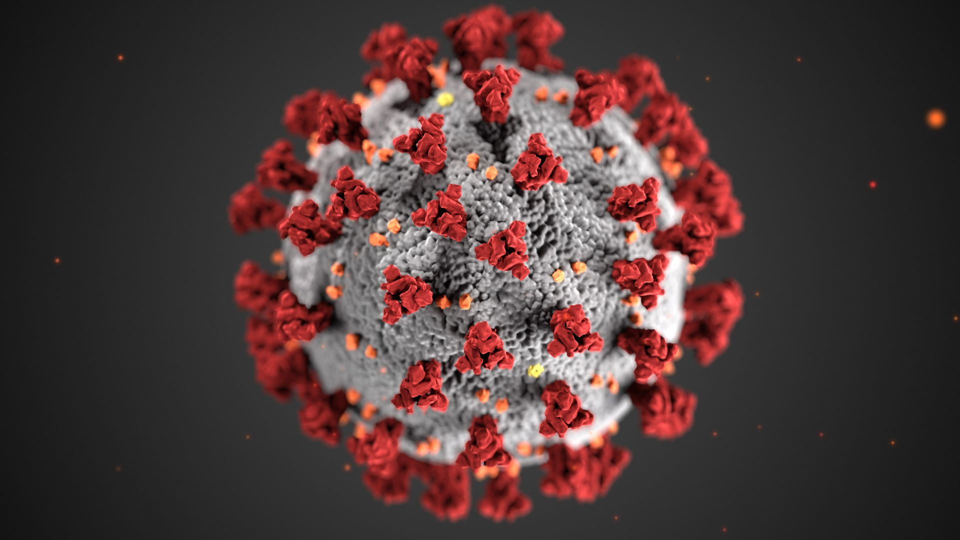 După jumătate de an, doar 47% din cei infectați cu SARS-CoV-2 mai au anticorpi