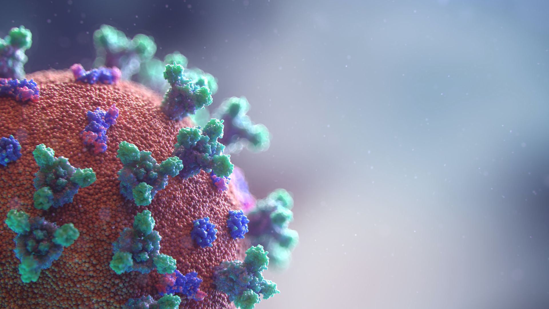 SUA: Un nou test de diagnostic detectează în 15 minute infecția cu coronavirus