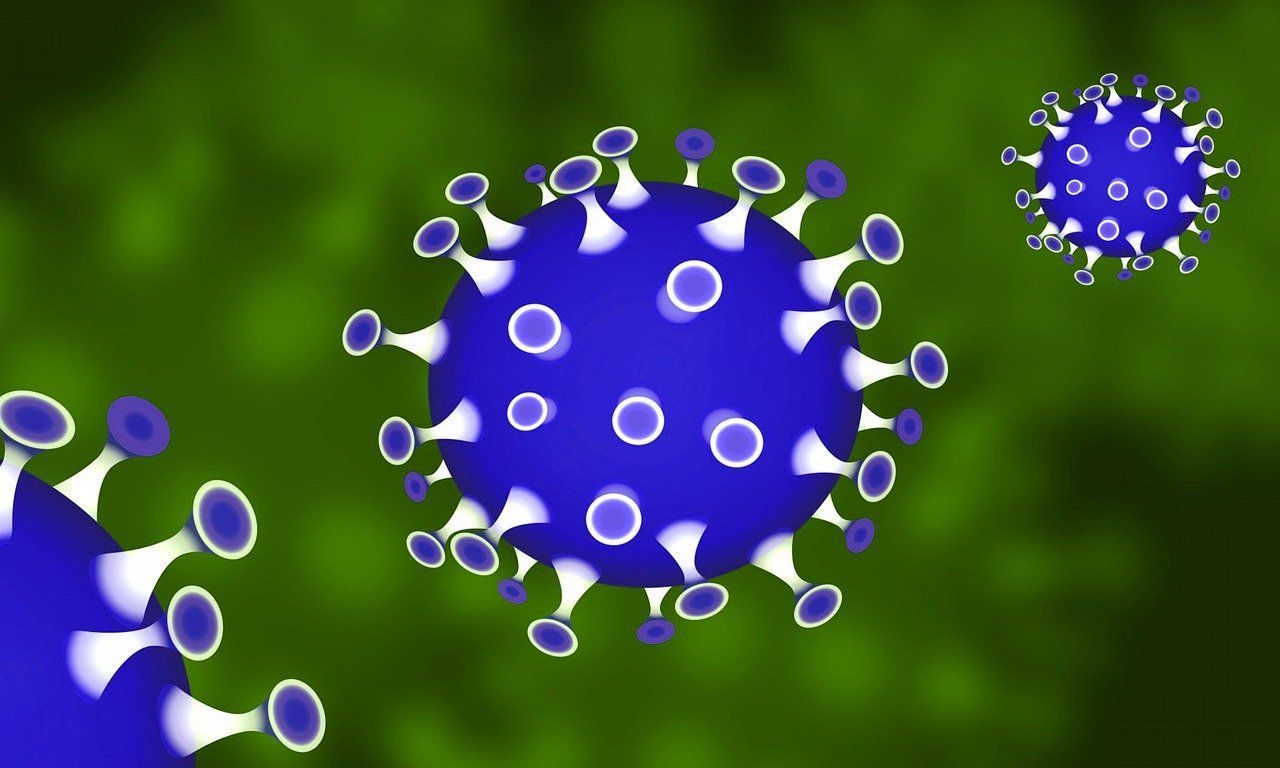 coronavirus 21 mai