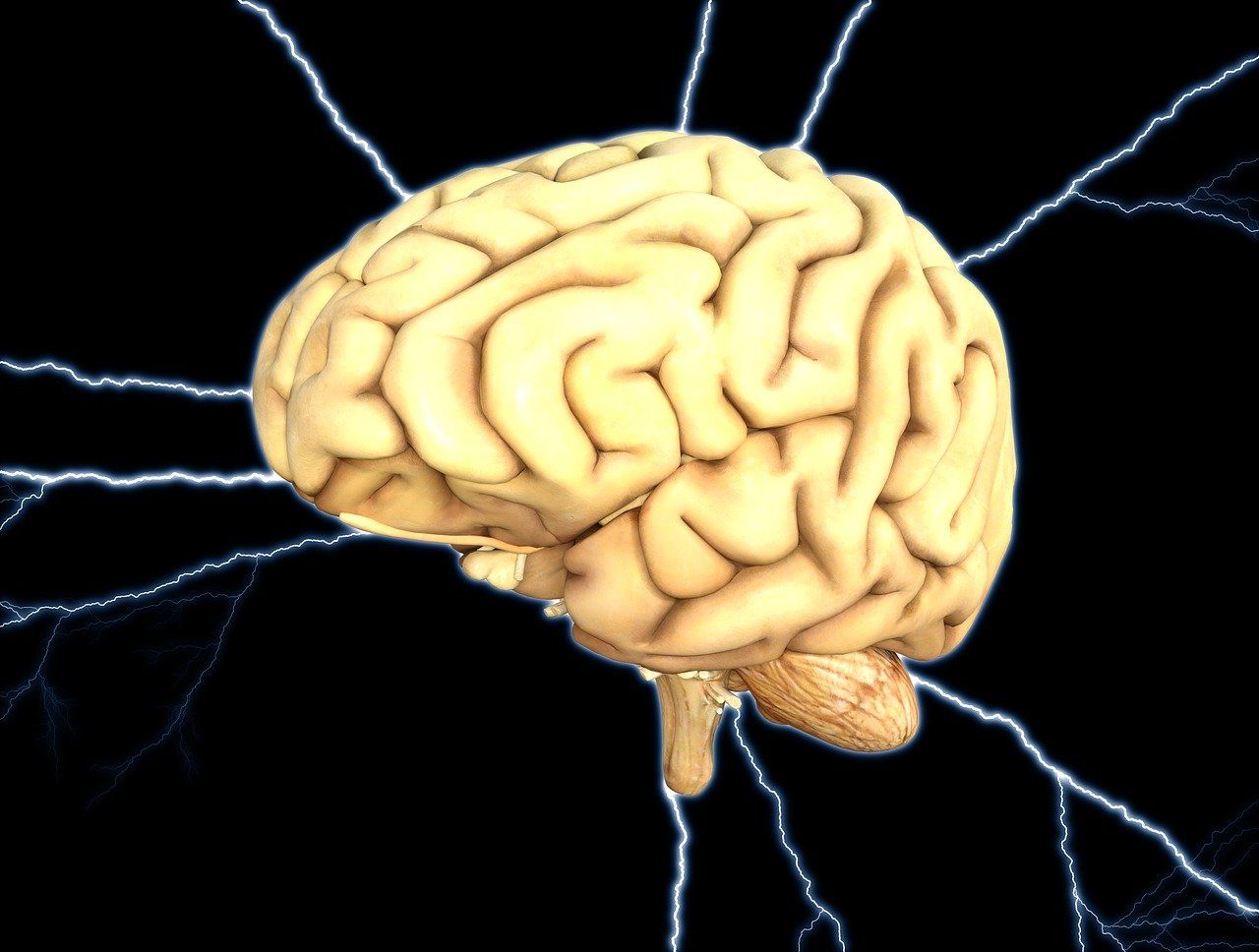 Un creier fără „denivelări” favorizează instalarea depresiei majore (studiu)