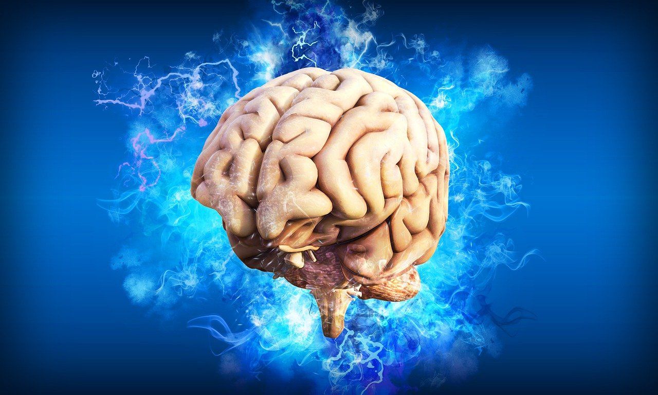 Noi dovezi despre modul în care COVID distruge țesutul cerebral