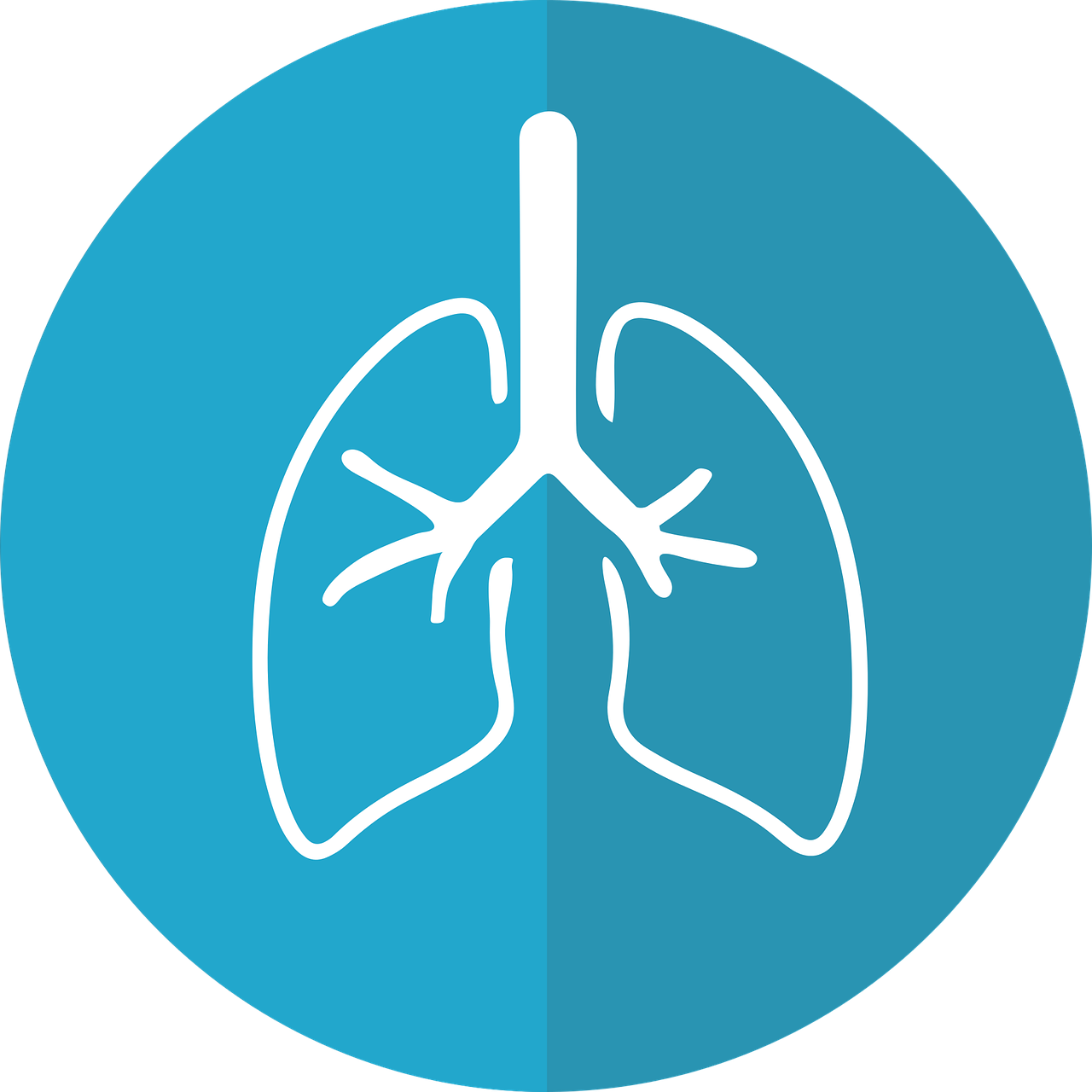 curs reabilitare pulmonara