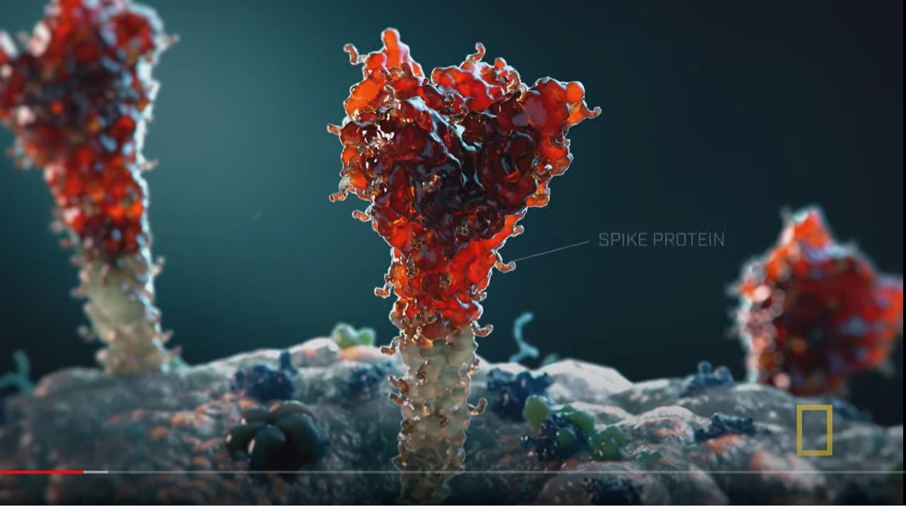 VIDEO: Documentar despre vaccinul Pfizer-BioNTech, pe National Geographic