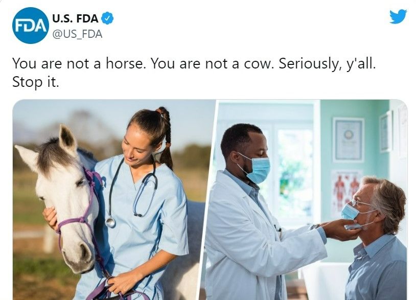 Avertisment privind consumul de ivermectină: „Nu sunteți cal, nu sunteți vacă. Serios, opriți-vă.”