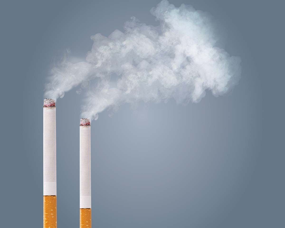Tutunul dăunează grav (și) mediului înconjurător