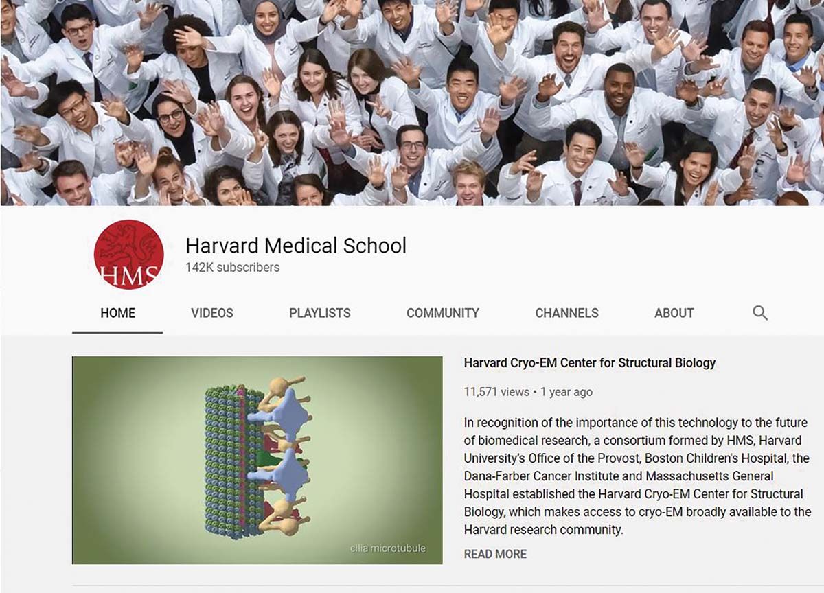 harvard medical school