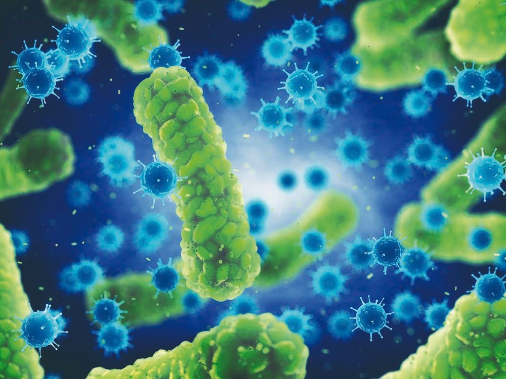 Helicobacter pylori, cea mai frecventă cauză de neoplasm asociat cu infecţiile