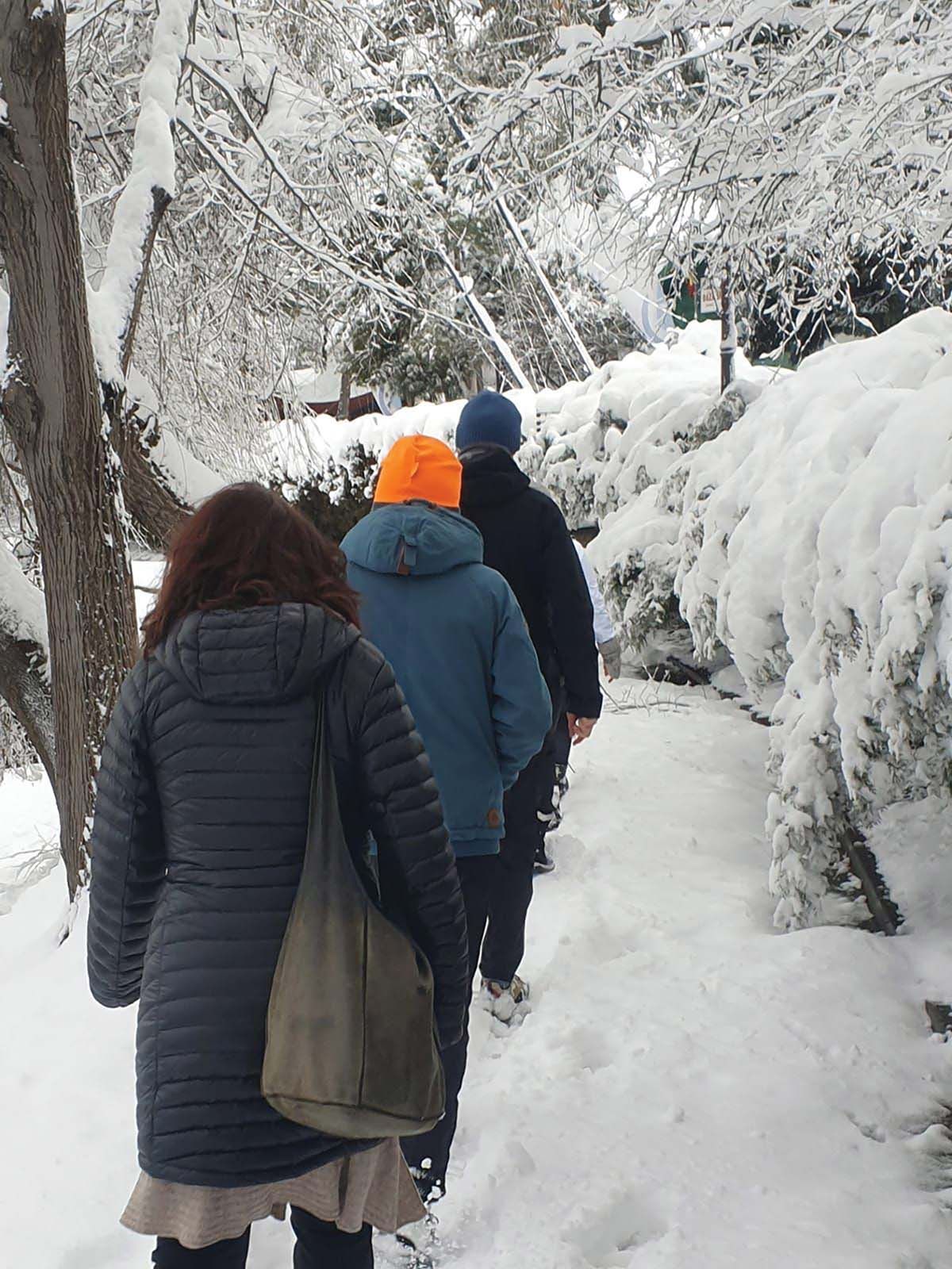 iarna walk herastrau 2