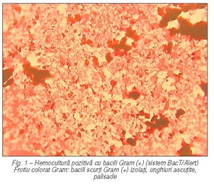 Diagnosticul bacteriologic al infecţiilor sistemice cu Listeria monocytogenes