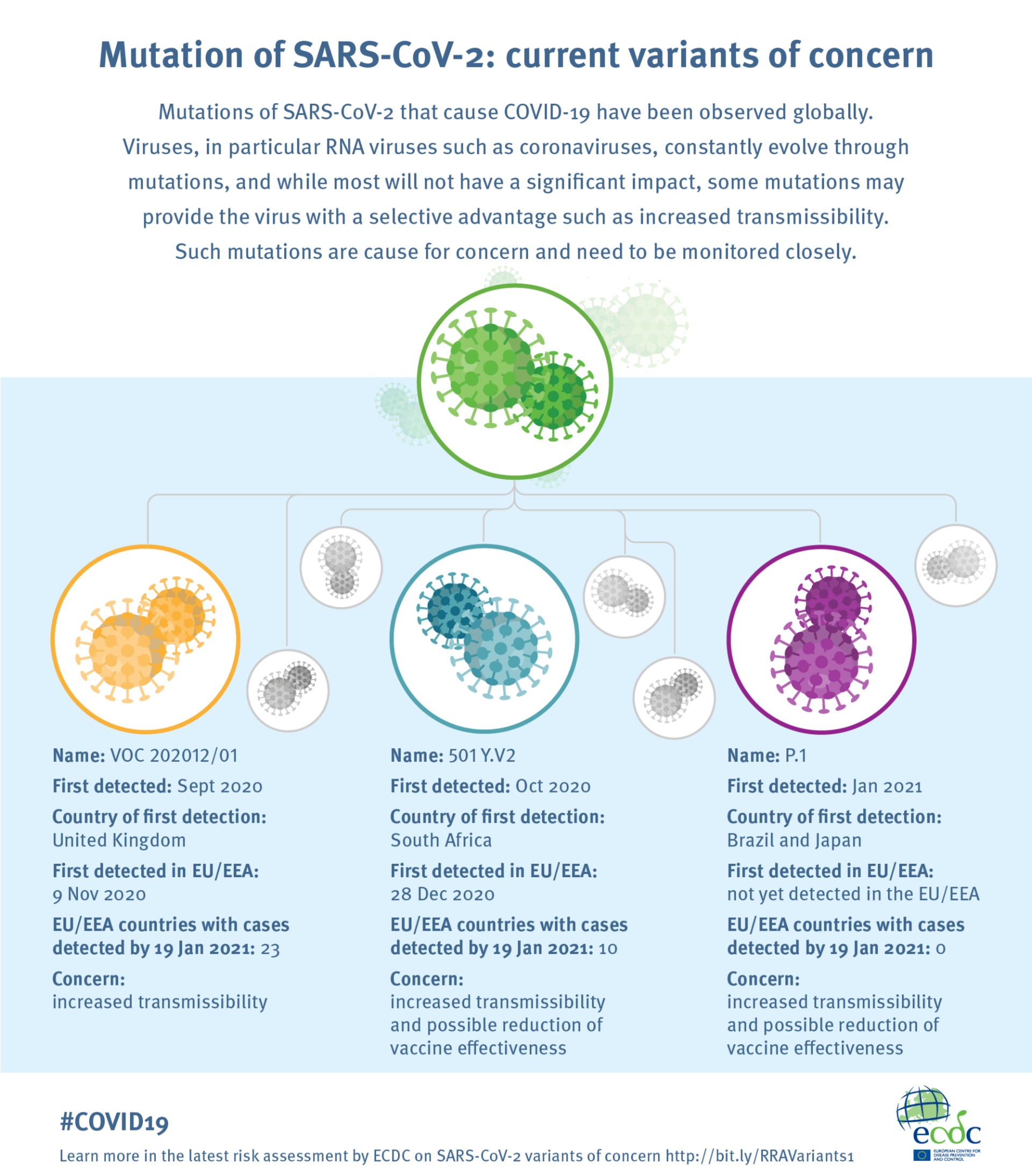 Infografic: ce se știe până acum despre mutațiile suferite de virusul SARS-CoV-2
