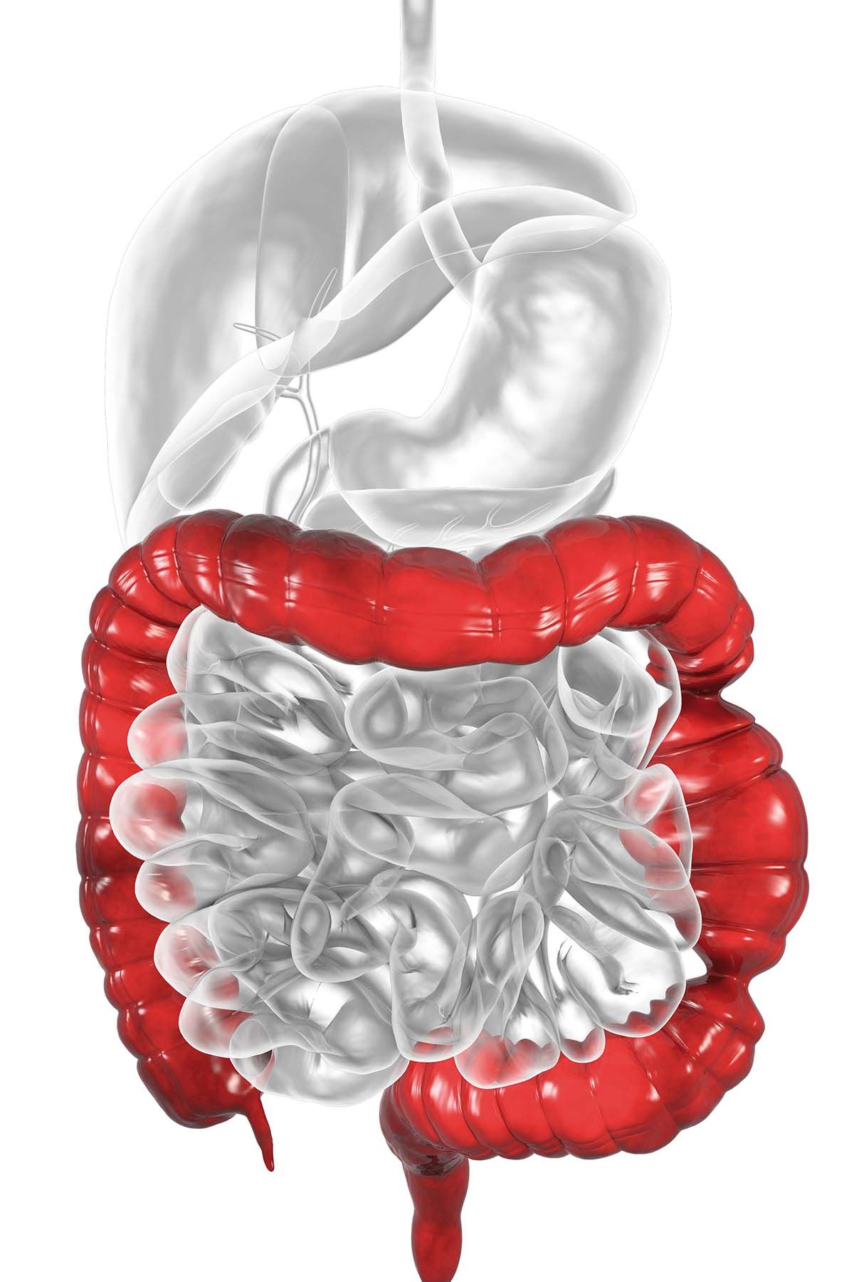 Patologia funcţională digestivă