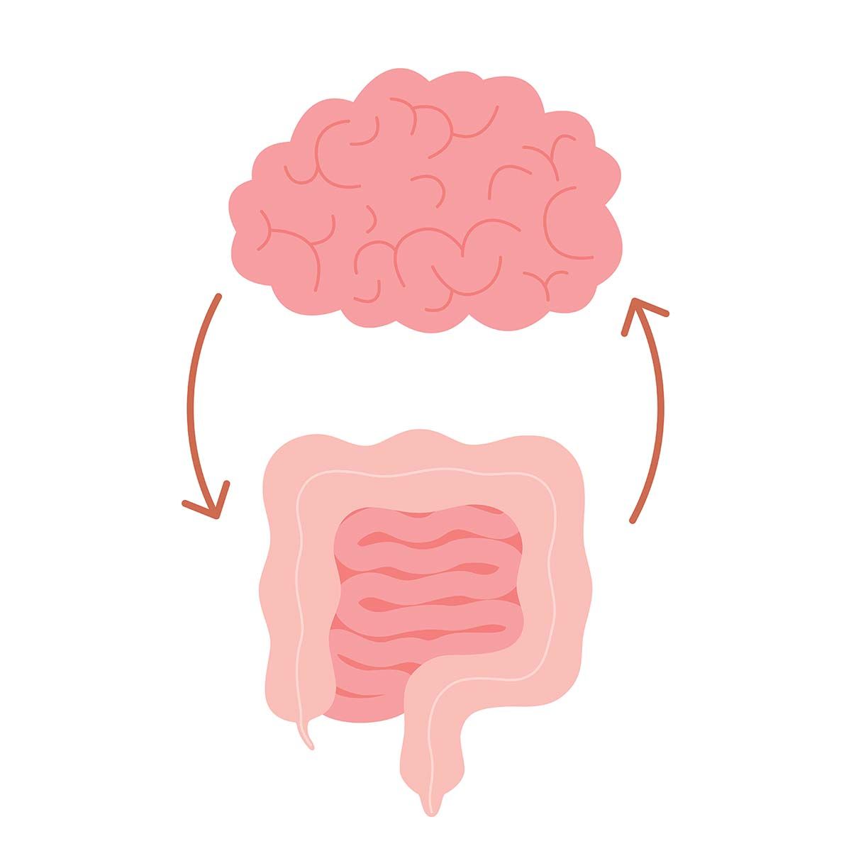 interactiune intestin-creier copy