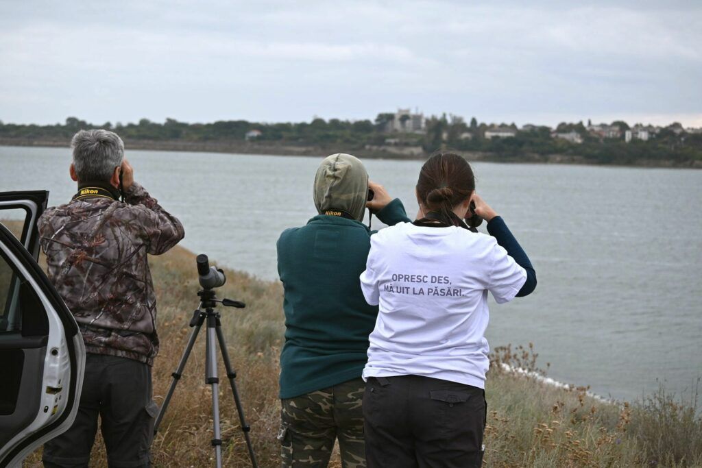 Big Day 2022: maraton ornitologic la Agigea