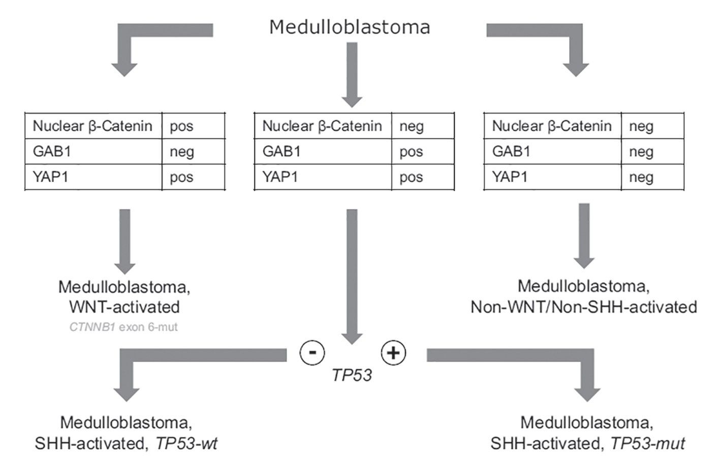 Aspecte actuale în managementul meduloblastoamelor