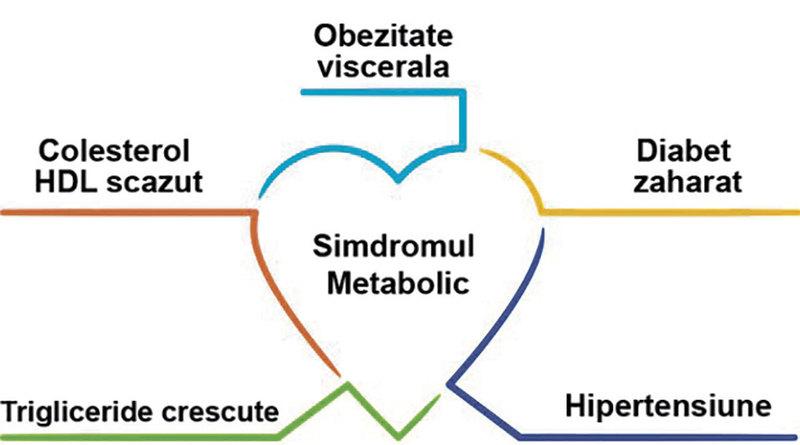 Abordarea interdisciplinară a sindromului metabolic