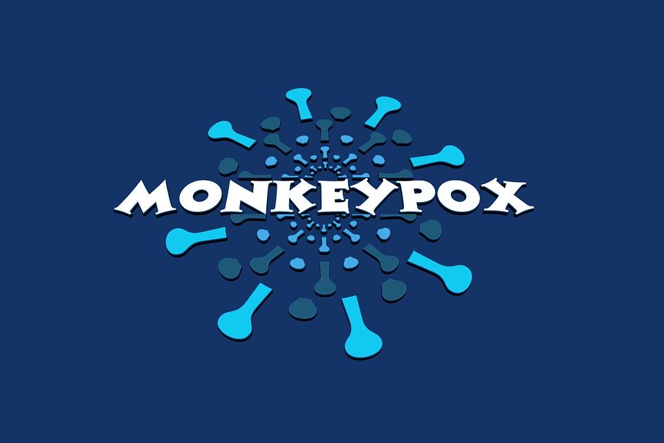 monkeypox-7219386_960_720