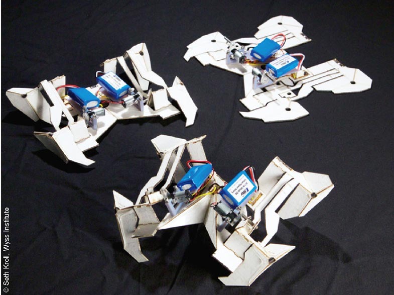 Între origami şi Transformers