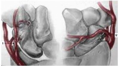 Artrita Tratamentul prin injecție cu artroză durere după o accidentare la genunchi